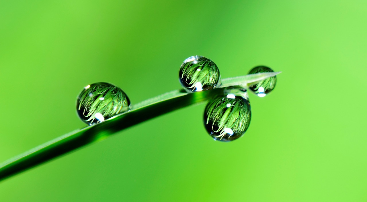 Why Every Business Should Consider Green Energy Solutions